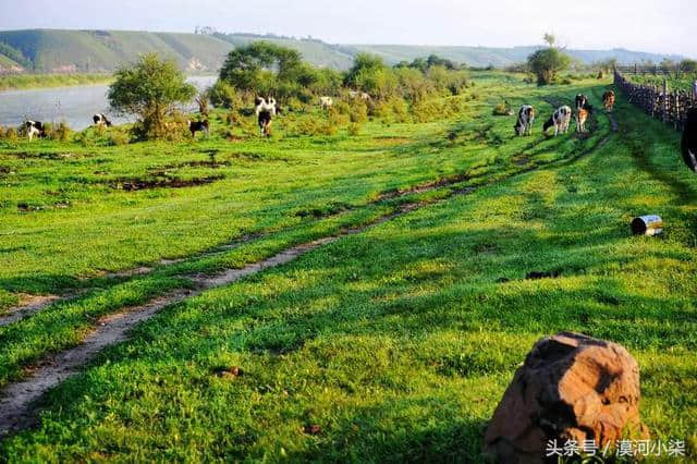 呼伦贝尔大草原经典线路自由行旅游攻略｜海拉尔、满洲里、黑山头、额尔古纳、莫尔道嘎