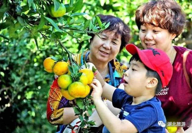 搞事情！湖北这几处绝美旅游线路，99%的人看了都会心动！