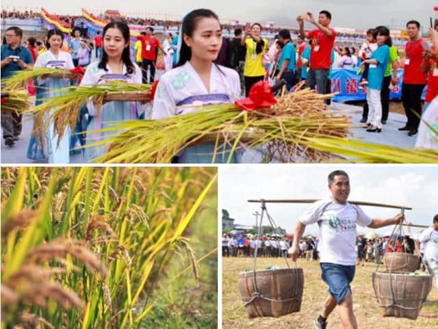 杭州“四新”旅游资讯重磅发布，十一黄金周，最忆是杭州！