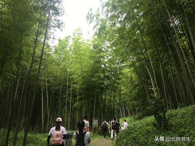 广州从化深藏天然景区，人少景美，很适合夏天周末郊游避暑