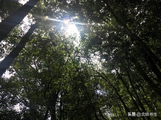 广州从化深藏天然景区，人少景美，很适合夏天周末郊游避暑