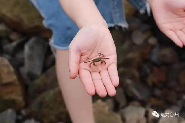 大陈岛还是个荒芜小岛？美到颠覆你想象