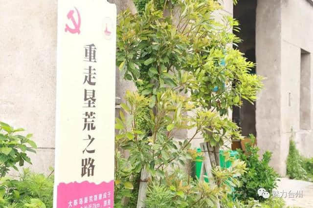 大陈岛还是个荒芜小岛？美到颠覆你想象