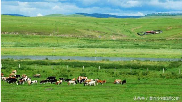 去呼伦贝尔草原旅游，防坑指南，您关心的都在这里