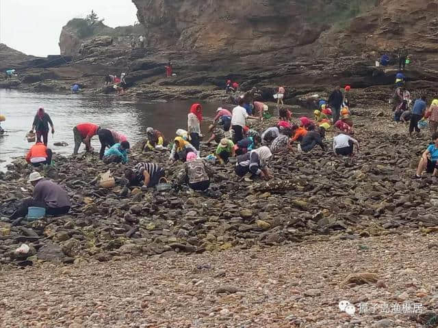 海岛旅游哪里去？大连獐子渔樵居