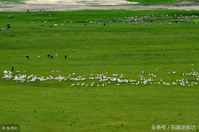 端午节假期来了！石家庄人这个假期怎么过？这份旅游攻略请收好！