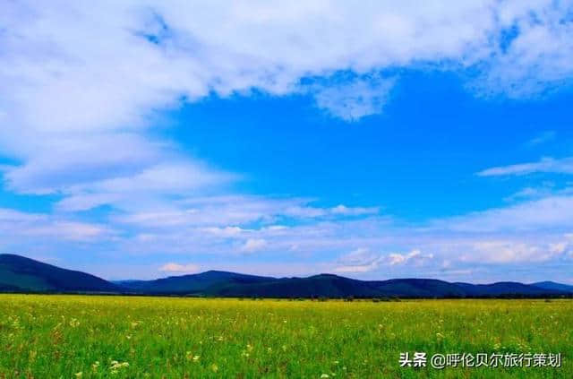 一生一定要去次呼伦贝尔大草原，狂野一“夏”