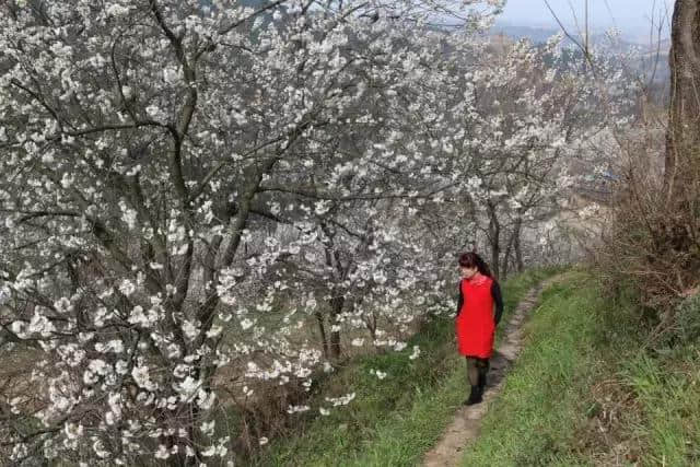 这个周末，全十堰最美的地方在这里！