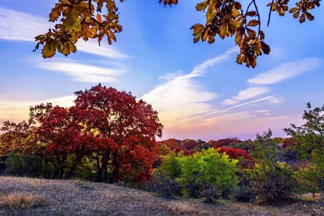 通辽文化旅游季来啦！赏花、踏青、采摘……让你嗨个够！