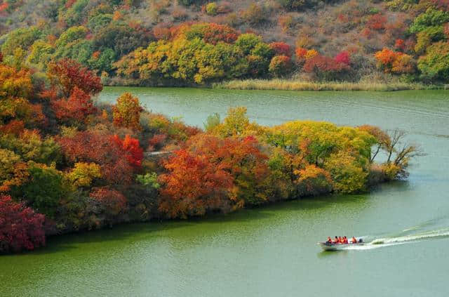 通辽文化旅游季来啦！赏花、踏青、采摘……让你嗨个够！