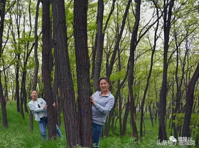 晋城旅游推荐——陵川美丽乡村，魅力杨寨