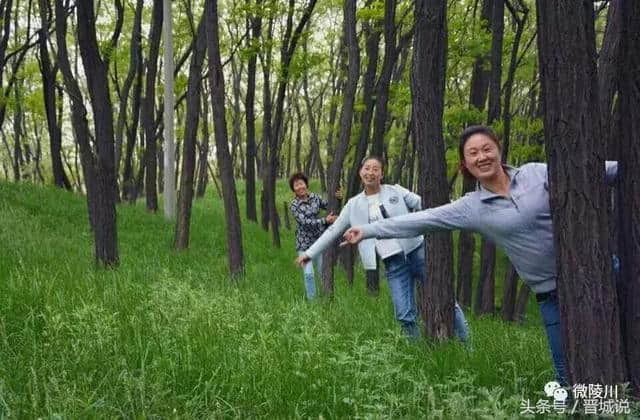 晋城旅游推荐——陵川美丽乡村，魅力杨寨