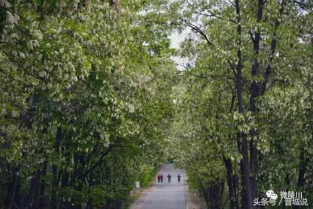 晋城旅游推荐——陵川美丽乡村，魅力杨寨