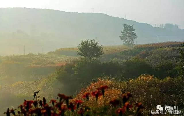 晋城旅游推荐——陵川美丽乡村，魅力杨寨