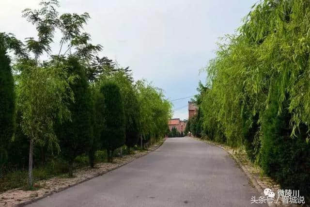 晋城旅游推荐——陵川美丽乡村，魅力杨寨