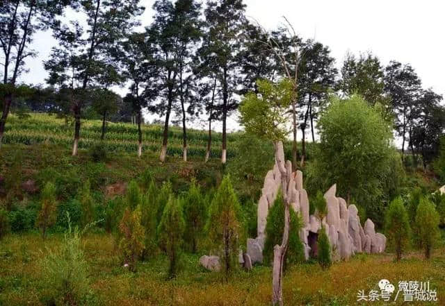 晋城旅游推荐——陵川美丽乡村，魅力杨寨