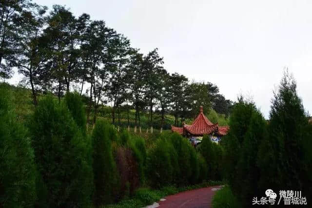 晋城旅游推荐——陵川美丽乡村，魅力杨寨