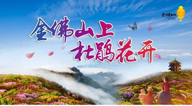 4月进入盛花期！重庆金佛山的杜鹃、垫江的牡丹都想开啦！