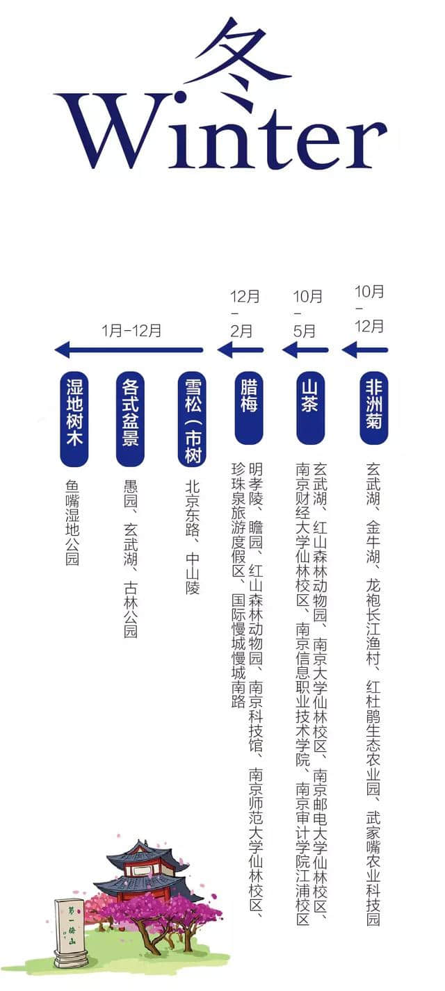 收藏！最全南京赏花地图来啦~