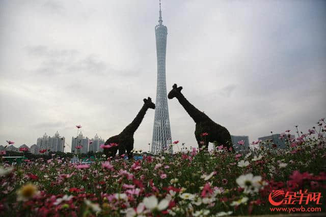 百花争艳 2018中国森林旅游节在海心沙开幕