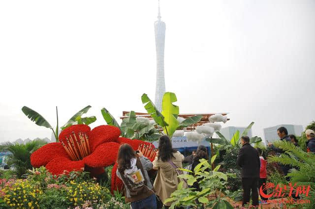 百花争艳 2018中国森林旅游节在海心沙开幕