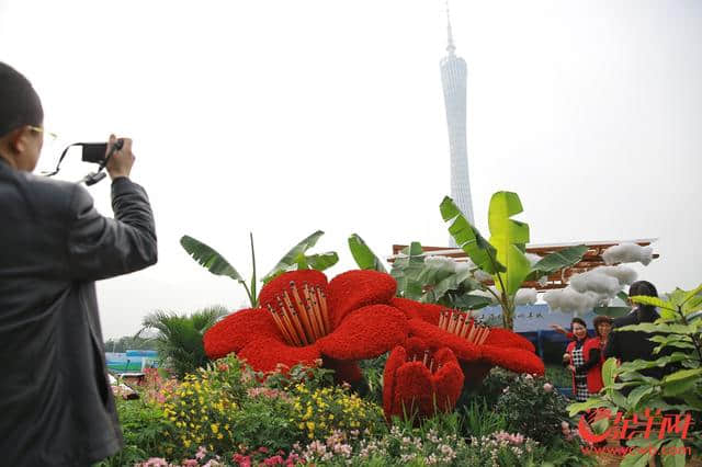 百花争艳 2018中国森林旅游节在海心沙开幕