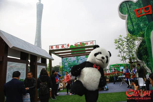 百花争艳 2018中国森林旅游节在海心沙开幕