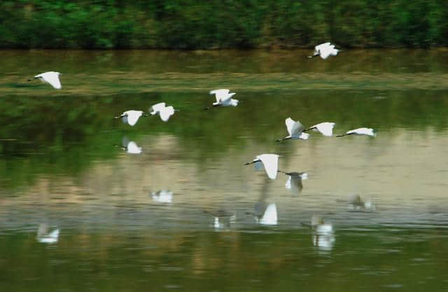 资深旅游体验师带你玩转江门十大景点