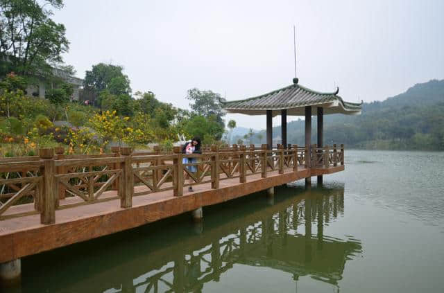 资深旅游体验师带你玩转江门十大景点