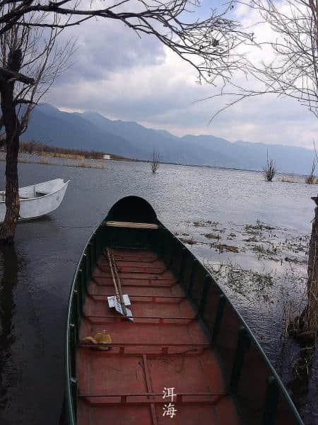 洱海月照苍山雪-大理，腾冲，瑞丽行