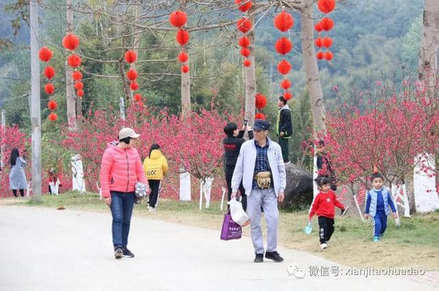 头条｜阳春三月，来自春天最美的情书就隐藏在仙迹桃花岛里！