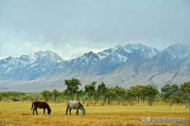 中国最美的公路在南疆，南疆最美的风景在路上