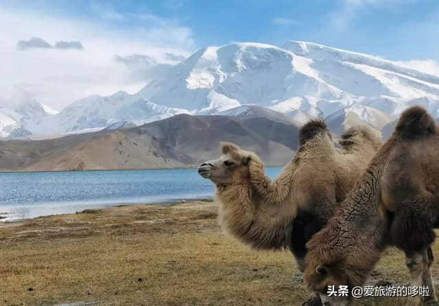 中国最美的公路在南疆，南疆最美的风景在路上