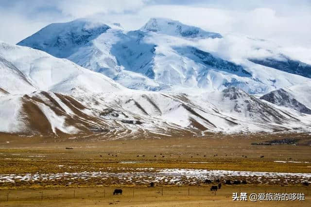 中国最美的公路在南疆，南疆最美的风景在路上