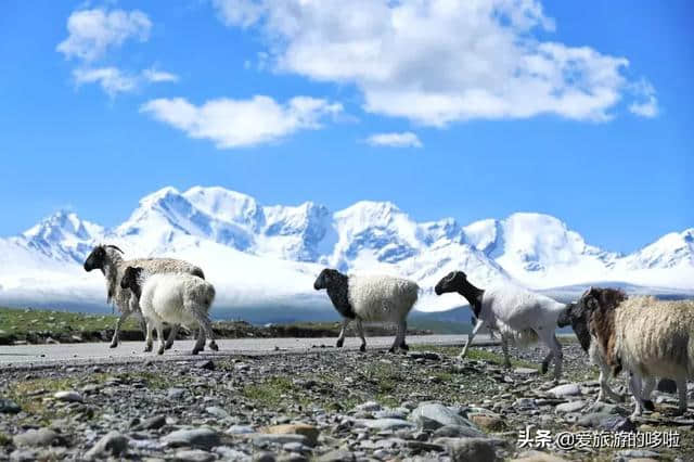 中国最美的公路在南疆，南疆最美的风景在路上