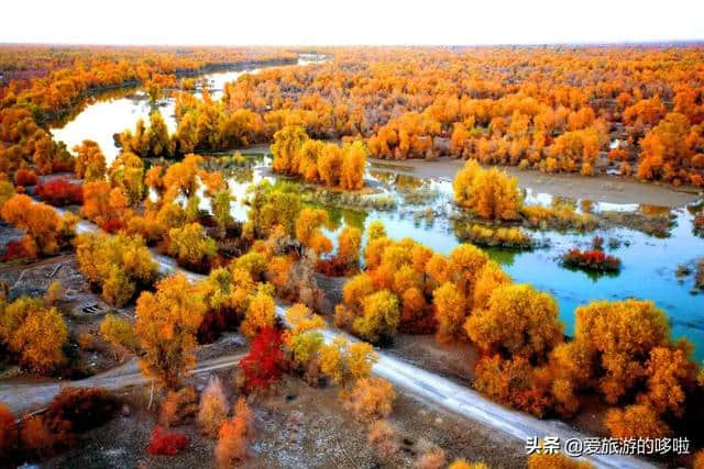 中国最美的公路在南疆，南疆最美的风景在路上