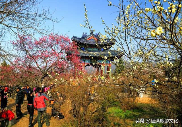 去南京旅游，这四个地方值得去，你去过吗？