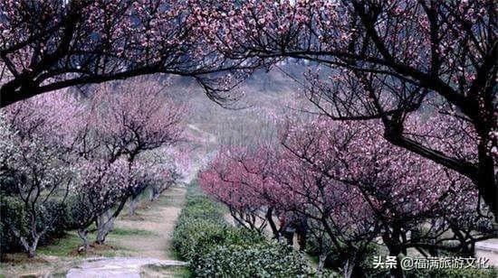 去南京旅游，这四个地方值得去，你去过吗？