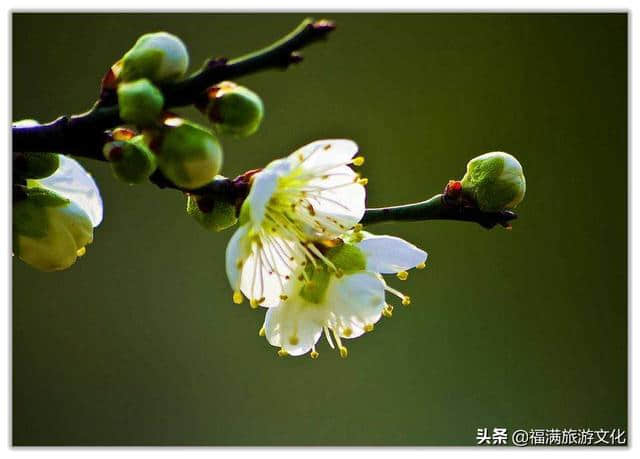 去南京旅游，这四个地方值得去，你去过吗？