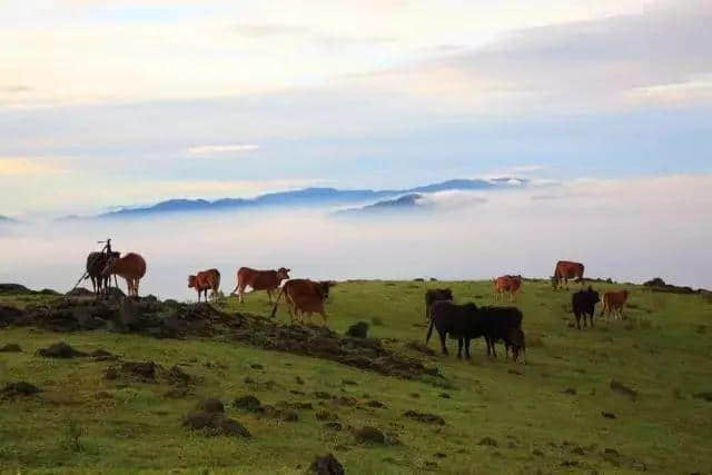 深圳周边十大旅游好去处，端午假期必去！看到第一个就忍不住出发