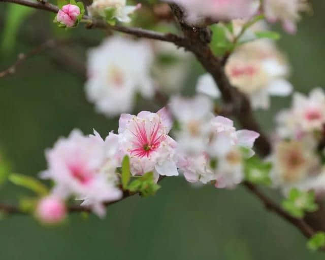 足够玩一年！肇庆这些景点不容错过！赶紧收藏～