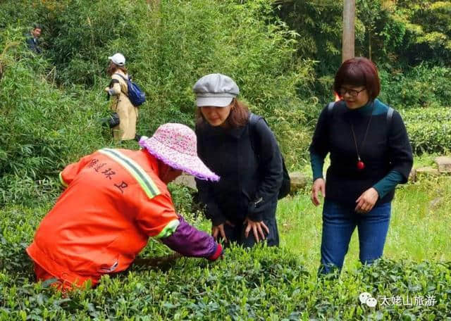 “海上仙都太姥山”全国作家文学采风活动圆满收官！