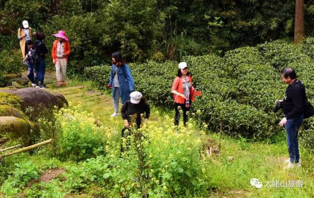 “海上仙都太姥山”全国作家文学采风活动圆满收官！