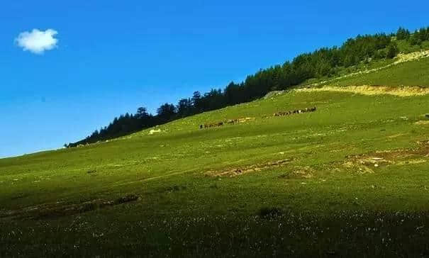 今年五一，太原周边那些鲜为人知的免费景点，美爆了