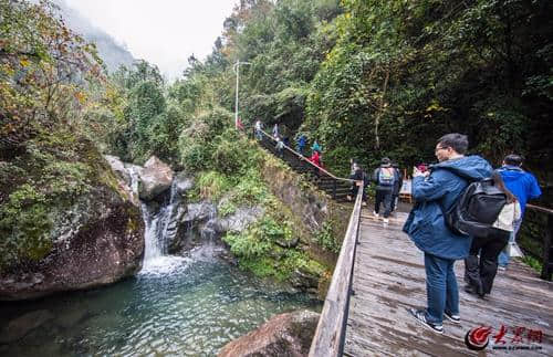 “全域旅游看浙江”仙居旅游业进入新时代