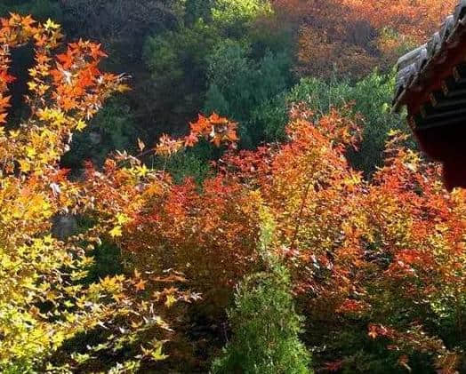 太原绝佳旅游胜地，带你看尽人间美景！