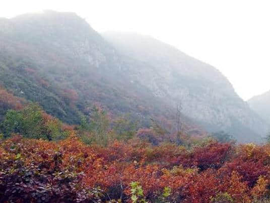 太原绝佳旅游胜地，带你看尽人间美景！