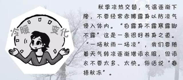 南湖寒露｜清香晨风远，溽彩寒露浓