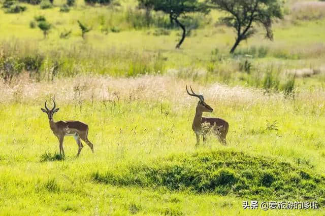 南非旅游到底靠谱不靠谱？驻外记者都推荐的攻略了解一下