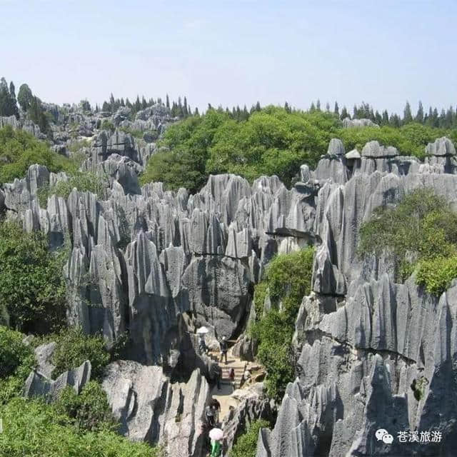 7月起，苍溪站停靠车次可直达重庆，西安，太原，桂林，昆明……这么多地方！